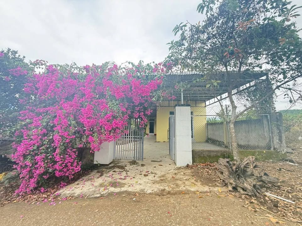 Nhà cấp 4 Khánh Vĩnh 5710m² - Sẵn sàng ở ngay!