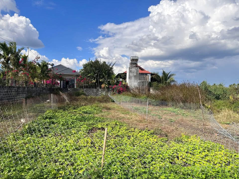 Đất Vàng Buôn Ma Thuột - 160m² Phường Ea Tam, Hướng Nam, Giá 900 Triệu