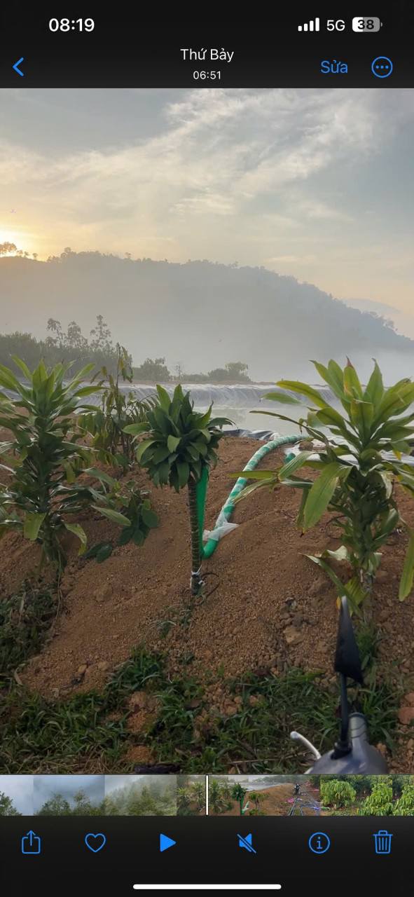 Bán Gấp Farm 1.4ha Đắk Som - 280 Cây Sầu Riêng Bói, Cafe, Ô tô Tận Nơi