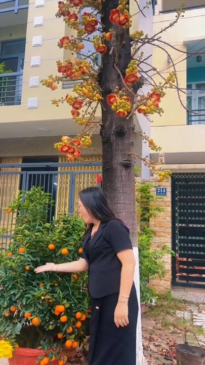 Nhà phố Hàn Thuyên Đà Nẵng 112.5m² - Mặt tiền kinh doanh đắc địa!