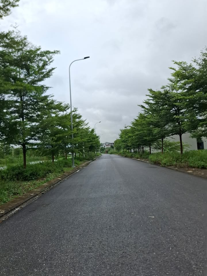 Đất nền Gia Hòa, Gia Viễn 135m² - Tiềm năng tăng giá vượt trội!