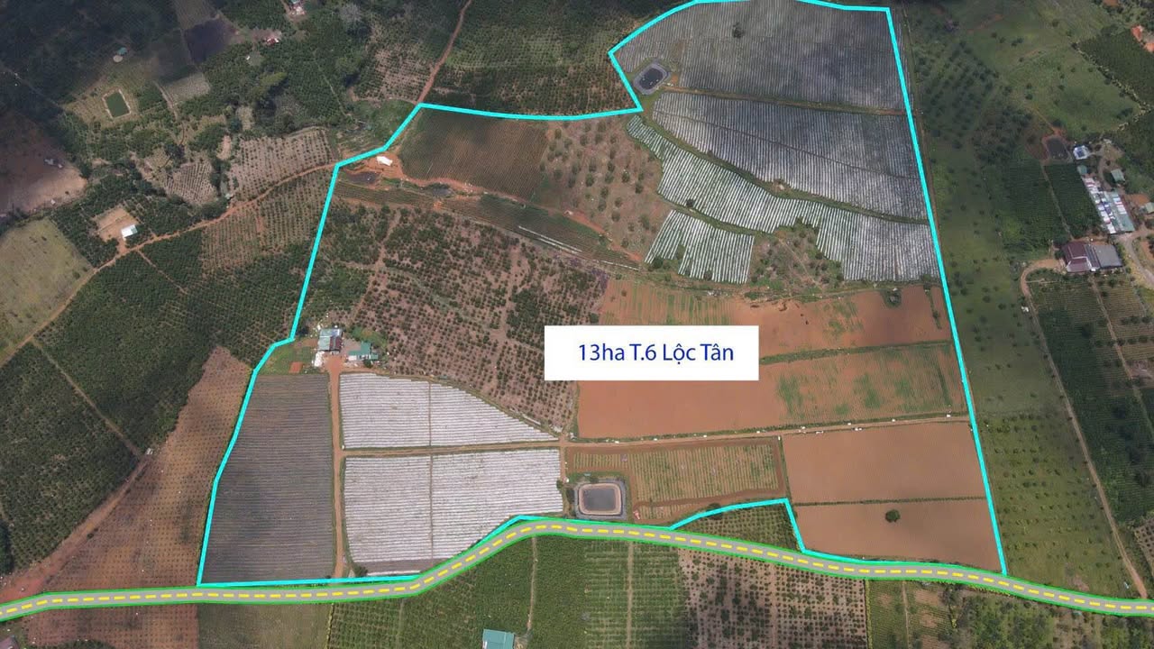 Bán Gấp Farm 13.5 Ha Tại Bảo Lộc - Giá Đầu Tư 54 Tỷ