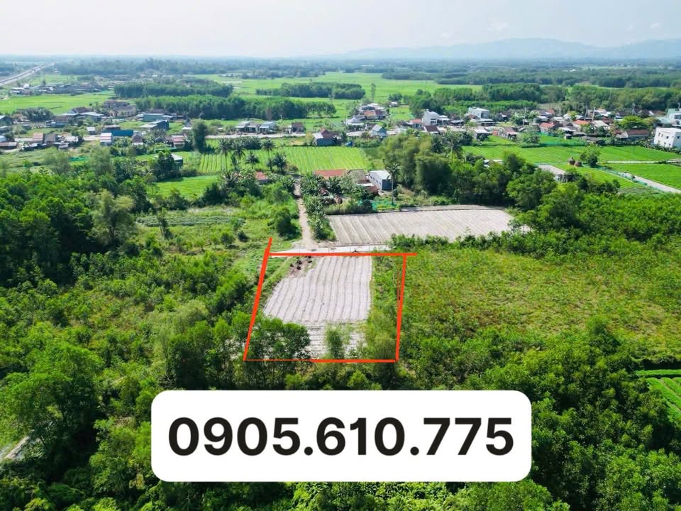 Đất nền Bình Quý, Thăng Bình 1450m² - Tiềm năng tăng giá vượt trội!