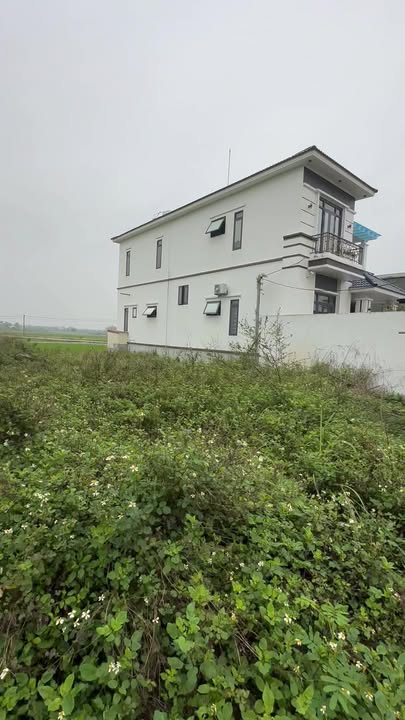 Đất nền Hưng Yên 100m² - Tiềm năng tăng giá vượt trội!