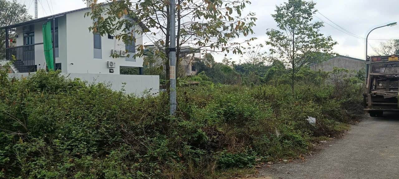 Bán đất biệt thự khu MB 08 Hậu Lộc, Thanh Hóa - 175m² sổ đỏ, giá tốt