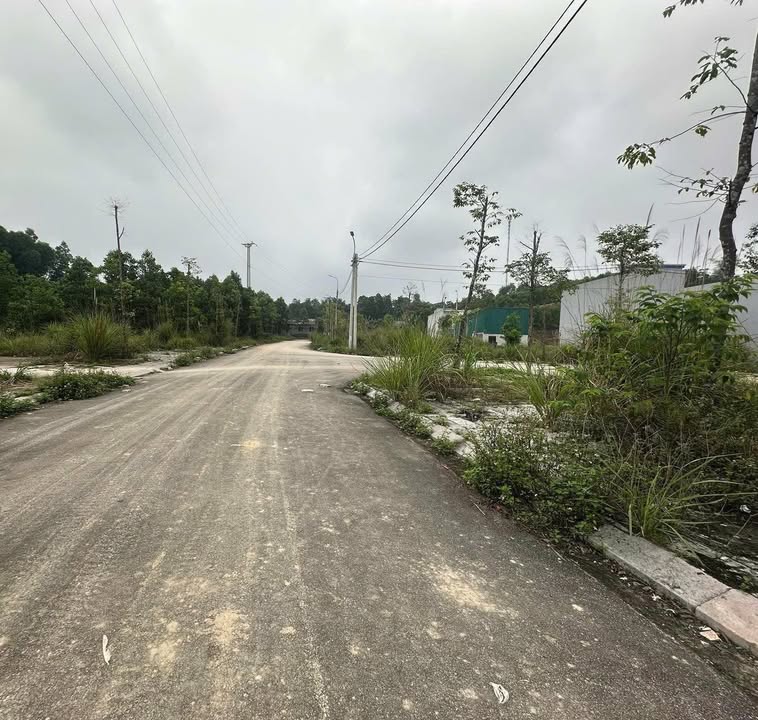 Đất nền Yên Cát 115m² - Đường HCM, tiềm năng tăng giá!