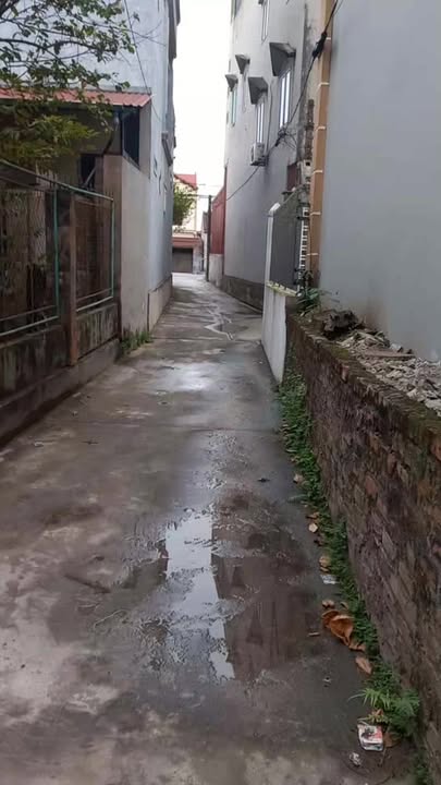 Nhà Ngói 298m² Nghĩa Hưng, Nam Định - Chính Chủ Bán Gấp Giá Tốt