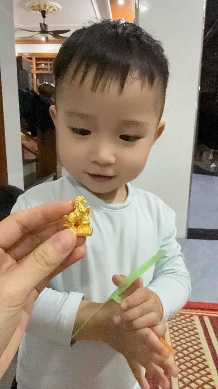 Đất nền Vĩnh Trụ, Hà Nam 115m² - Sổ đỏ chính chủ