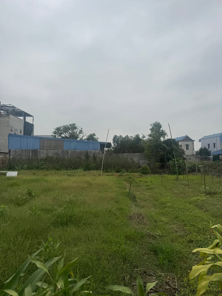 Đất Vườn Nam Định 200m² Sổ Đỏ - Giá Đầu Tư 1.56 Tỷ