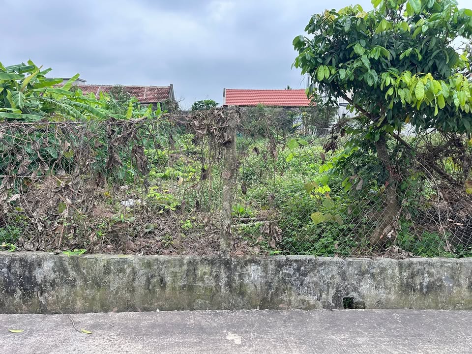 Đất Nền Nghĩa Phú, Nam Định - 220m² Sổ Đỏ Chính Chủ, Giá 1.05 Tỷ