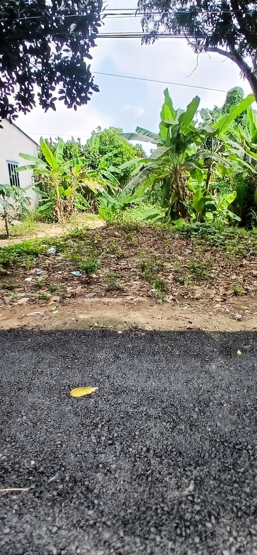 Bán đất thổ cư 483m² đường Mai Văn Khải, Đồng Tháp - Giá 2.2 tỷ