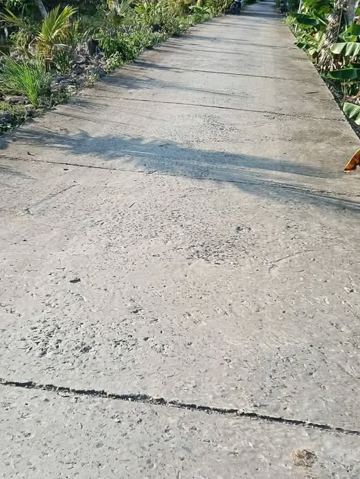 Bán Nền 264m² Bình Hàng Trung, Cao Lãnh - Sổ Đỏ, Gần Quốc Lộ 30