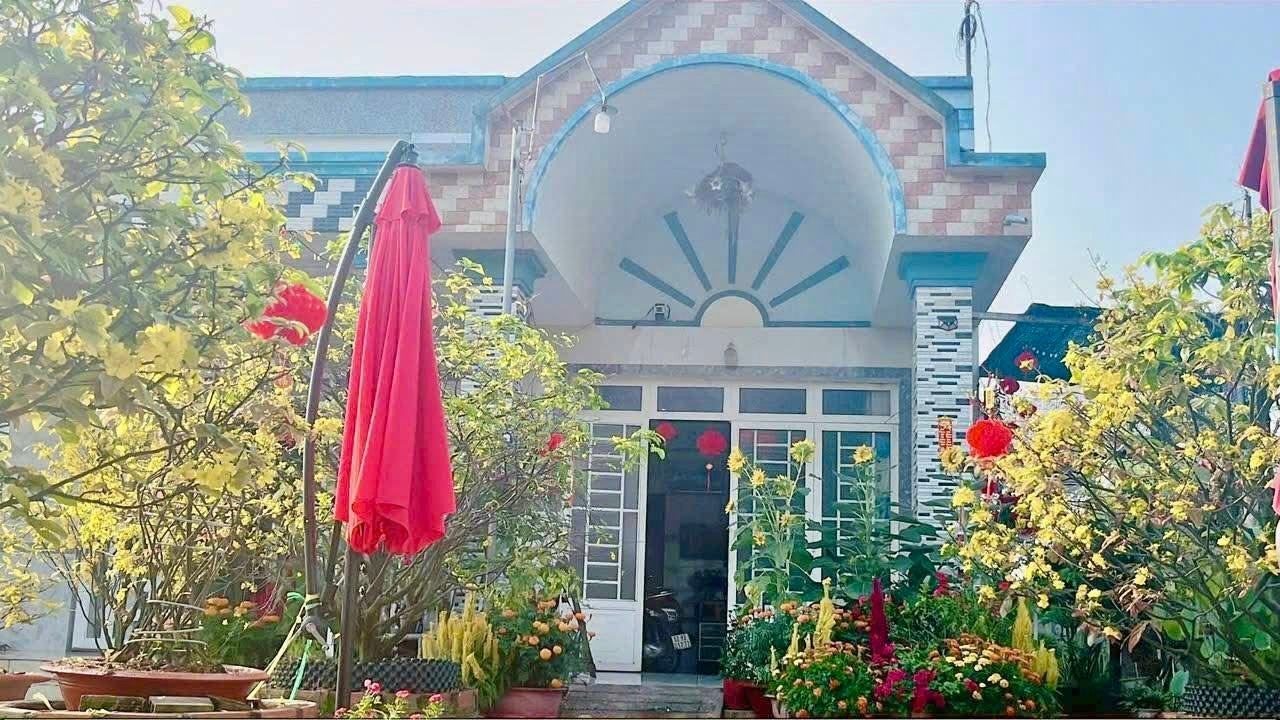 Đất Thổ Cư Sổ Hồng Riêng 480m² Đức Hòa - Giá 1.5 Tỷ