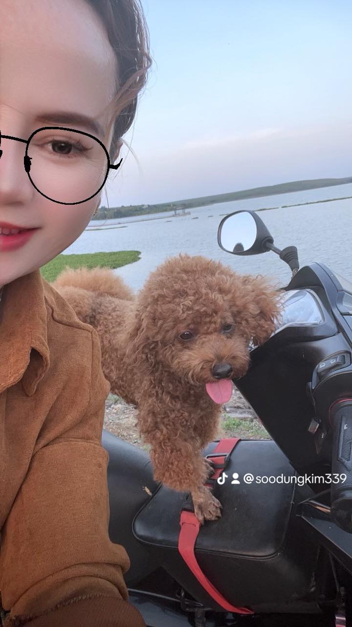 Đất Vĩnh Lộc A, Bình Chánh 48m² Giá 259 Triệu - Sổ Hồng Đầy Đủ