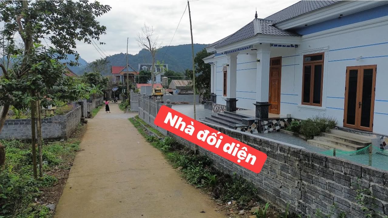 Đất nền Cẩm Quý 280m² chỉ từ 300 triệu - Đường to ô tô tránh nhau!