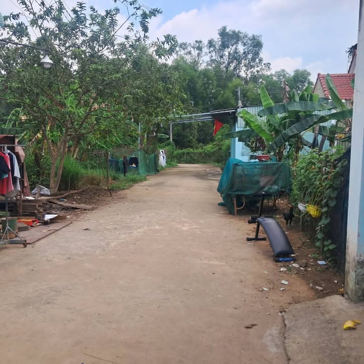 Nhà Riêng Phước Tân, Biên Hòa 100m² - Giá Tốt Hiếm Có!