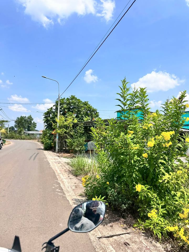 Đất nền Long Khánh 125m² - Tiềm năng tăng giá vượt trội!