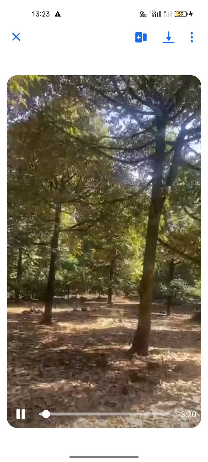 Bán Gấp Đất Vườn 7000m² Phú Lộc, Đồng Nai - 120 Cây Sầu Riêng Năm Thứ 10