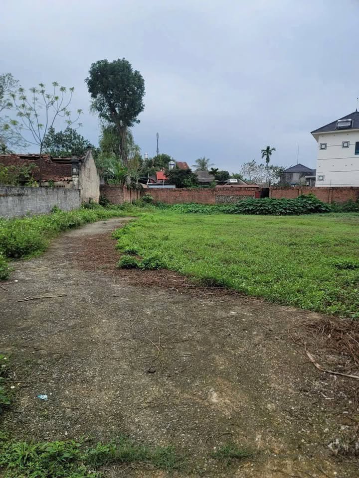 Đất nền Tân Hương Phổ Yên 117m² - Giá đầu tư tốt, sổ đỏ ngay!