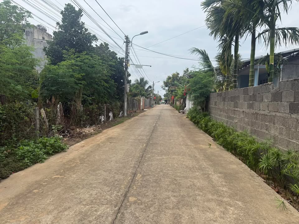 Đất nền Hẻm 37 Nguyễn Phúc Chu 91m² - Đất thổ cư 100%!