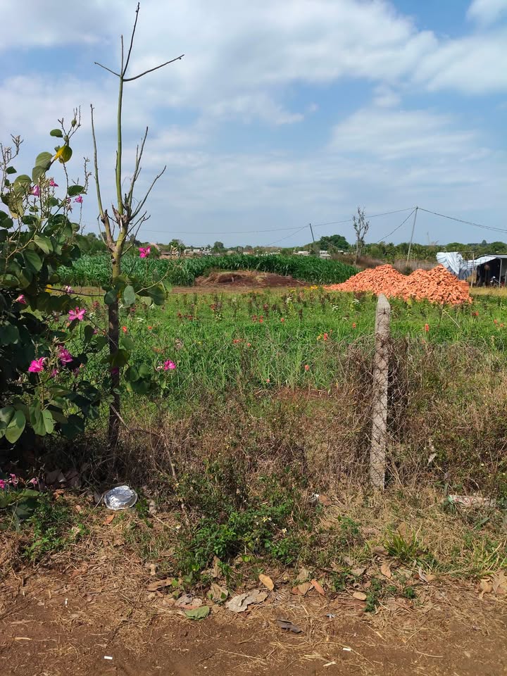 Bán Gấp Đất Nền Xuân Trường, Đồng Nai - 180m² Sổ Đỏ, View Núi Đẹp