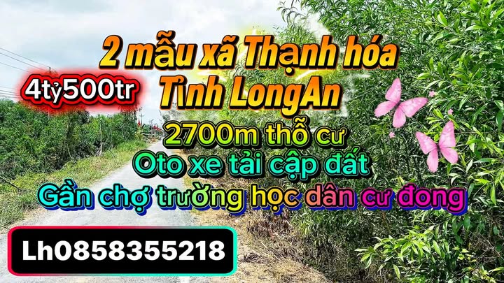 Đất nền Xã Thạnh Hóa Long An 20.000m² - Tiềm năng tăng giá!