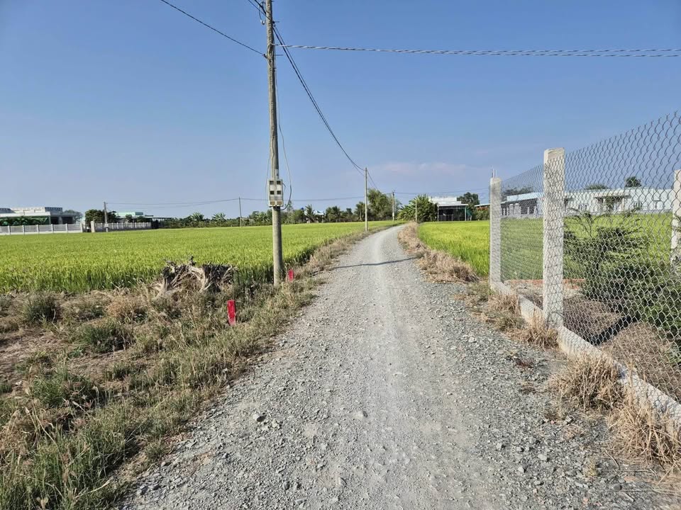 Đất thổ cư mặt tiền Rạch Su, Cần Giuộc - 220m² Sổ đỏ - Giá 1.02 tỷ