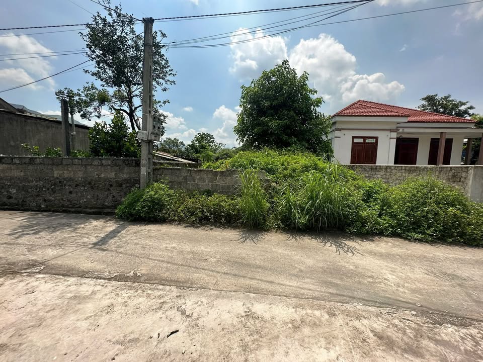 Đất nền Yên Thọ, Đông Triều 460m² - Tiềm năng tăng giá vượt trội!