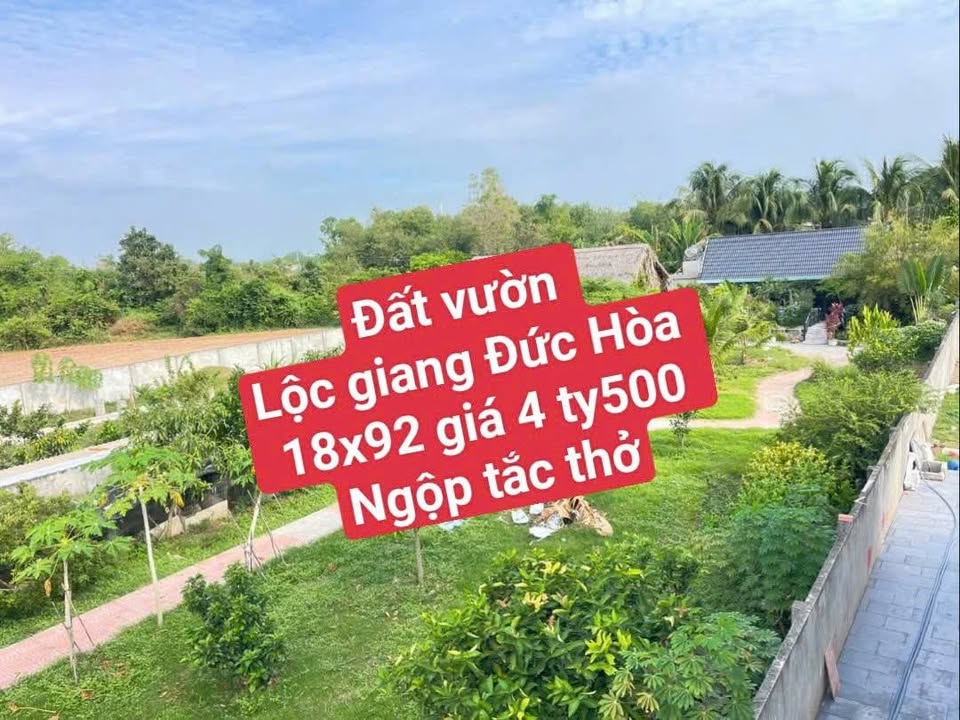 Bán Gấp Đất Vườn Lộc An Lộc Giang 1656m² - Giá Tốt