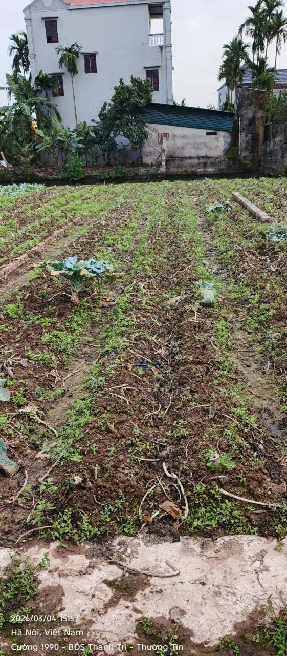 Đất Chương Dương 55m² - Ngõ Ô Tô - Giá Dưới 3 Tỷ