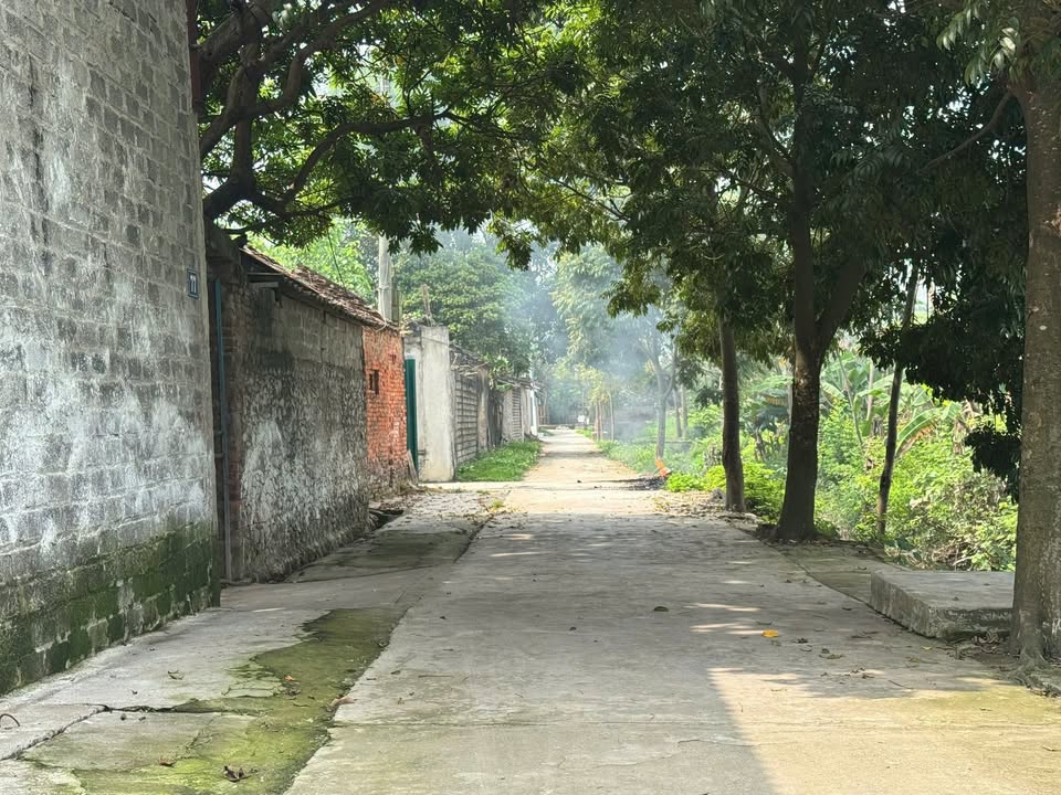 Đất nền Thượng Tiết, Ứng Hòa - 120m² sổ hồng, ô tô vào tận đất