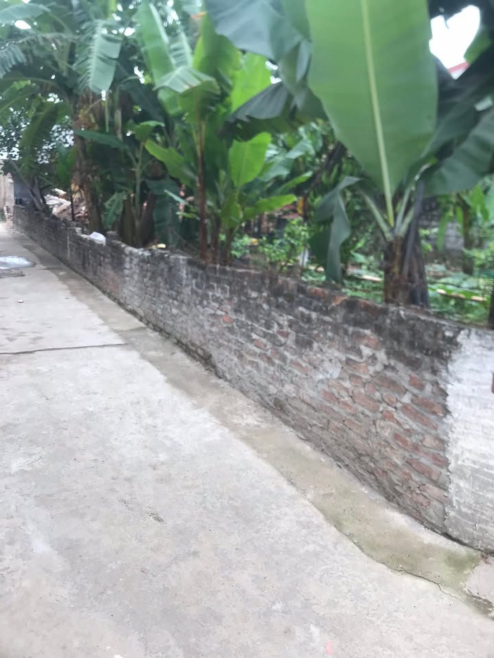 Nhà 3 Tầng Đan Phượng 160m² - Ô tô vào tận nhà, sẵn sàng ở ngay!