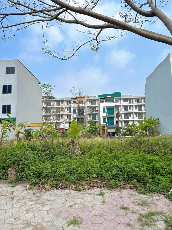 Bán đất nền TMS Vĩnh Yên 88.9m² hướng Đông Nam - Sổ đỏ sẵn sàng