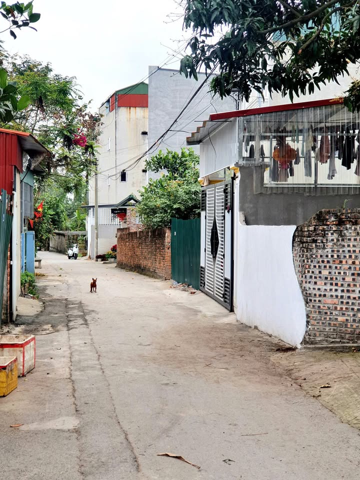 Đất nền Vĩnh Yên 100m² giá 1.9 tỷ - Tiềm năng tăng giá vượt trội!