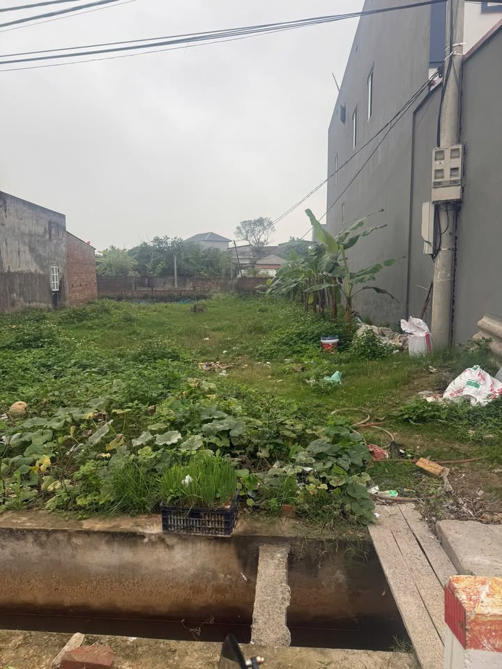 Đất nền Cẩm Trung, Lương Tài 119.4m² - Tiềm năng tăng giá cao!