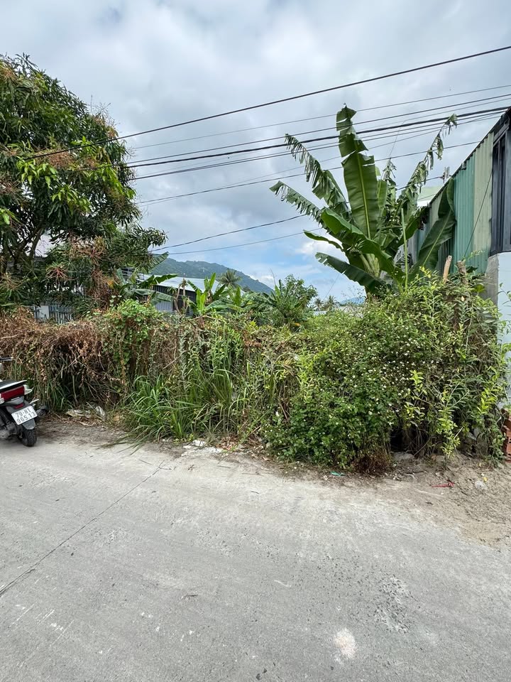 Đất nền Trần Đăng Ninh, Nha Trang 212m² sổ hồng - Giá 3.9 tỷ