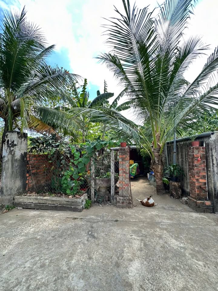 Đất vườn Bắc Nha Trang 356m² - Chỉ 2 tỷ, giá đầu tư tốt!