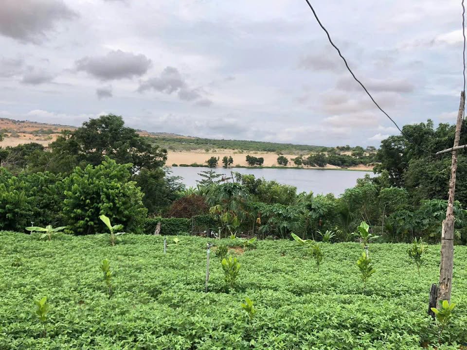 Bán Đất Bình Thuận 1400m² Sổ Đỏ Chính Chủ - View Hồ Giá 4 Tỷ