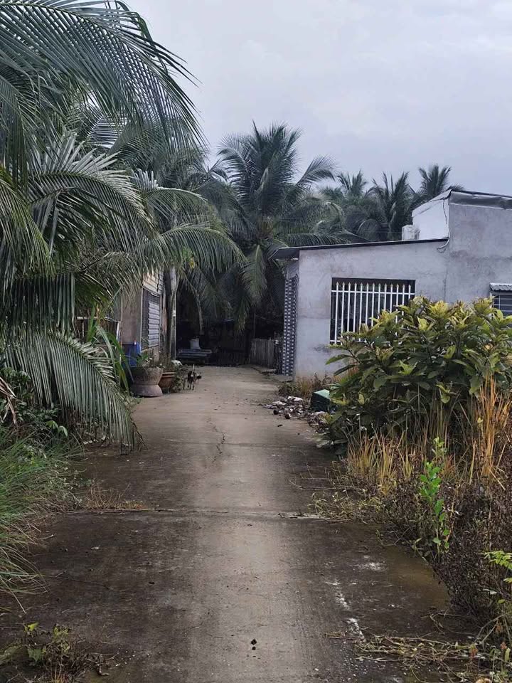 Đất nền Phú An Hòa Bến Tre 77.3m² - Sổ đỏ chính chủ!