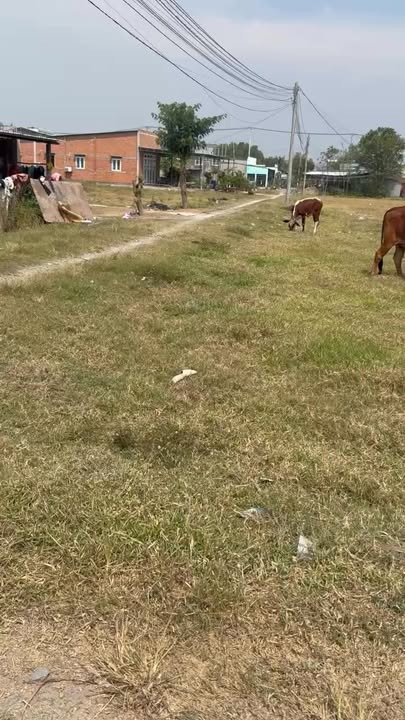 Bán Đất Vườn Đức Hòa 2184m² - Sổ Hồng Riêng, Nở Hậu, Giá 2.95 Tỷ