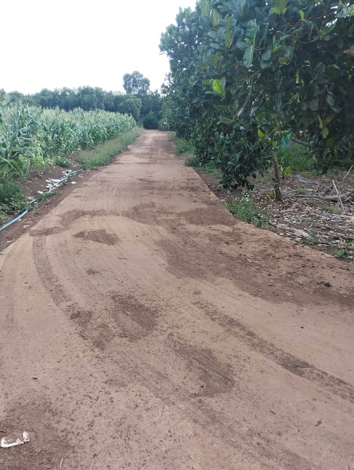 Đất Nền Cẩm Mỹ Đồng Nai 828m² Sổ Đỏ - Gần Đường 763B