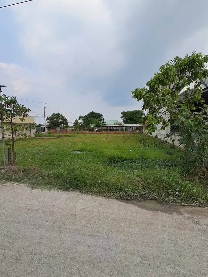 Đất nền Mỹ Hạnh Bắc 369m² - Sổ hồng chính chủ, đường to ô tô