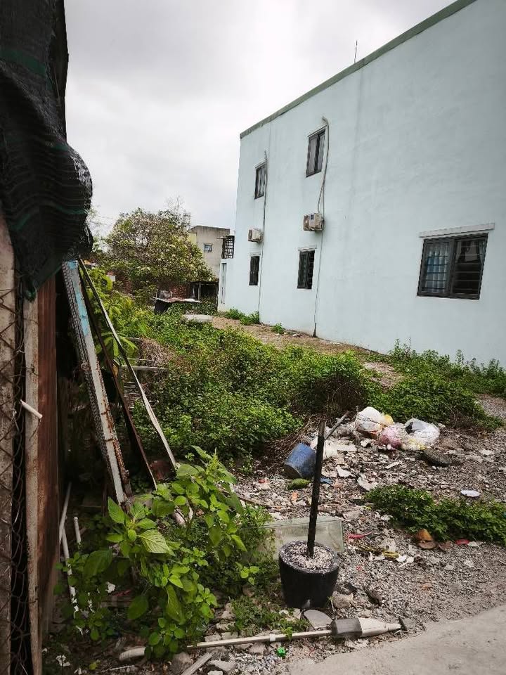 Đất nền Tân Hiệp Hóc Môn 100m² chỉ 2.1 tỷ - Xây dựng tự do!