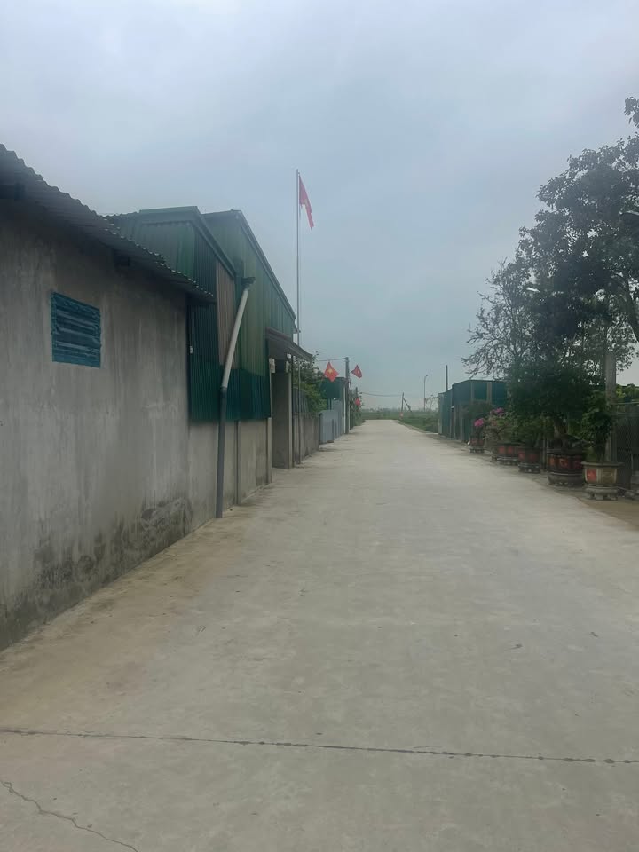 Đất Nền Hưng Đạo, Nghệ An - 100m² Sổ Đỏ, Giá Đầu Tư 2.05 Tỷ