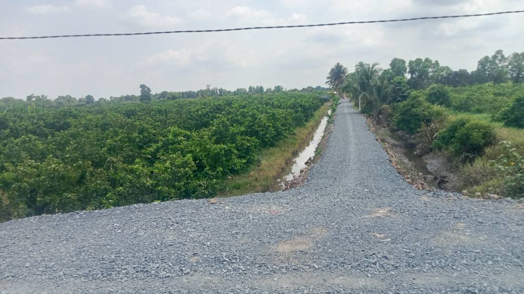 Đất Vườn Thạnh Lợi 500m² - Sổ Hồng Riêng, Giá F0 Đầu Tư