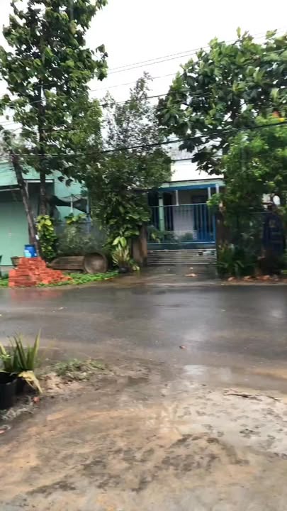 Nhà Mặt Tiền Kinh Doanh Rừng Dầu, Đức Lập - 217m² - 2.25 Tỷ