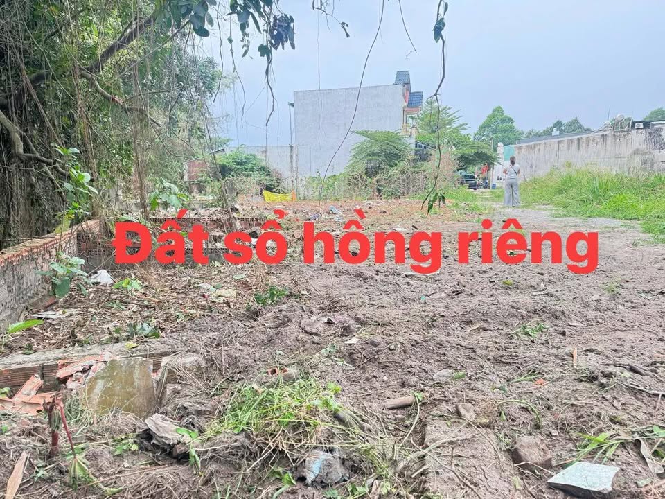 Bán Đất Sổ Hồng Riêng 84m² Mỹ Hiệp, Tân Uyên - Giá 500 Triệu