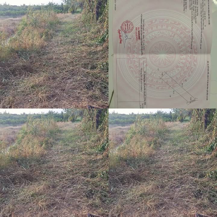 Đất nền Trà Ôn Vĩnh Long 1402m² giá 159 triệu - Sổ đỏ chính chủ!