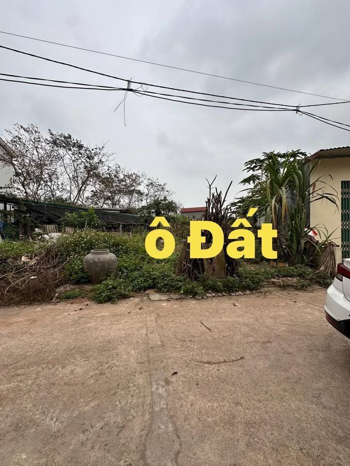 Đất nền Liên Châu, Yên Lạc 126m² – Sổ đỏ chính chủ, đường ô tô thông thoáng!