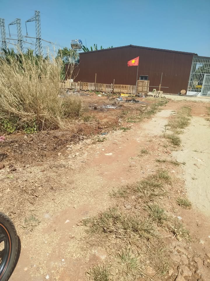 Đất nền Hẻm Trần Đại Nghĩa 220m² - Sổ đỏ chính chủ!